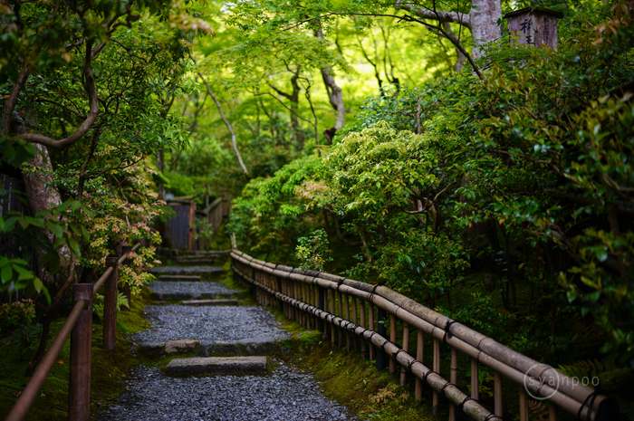お写ん歩: SIGMA 35mm F1.2 DG DN | Artアーカイブ